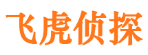 武山侦探